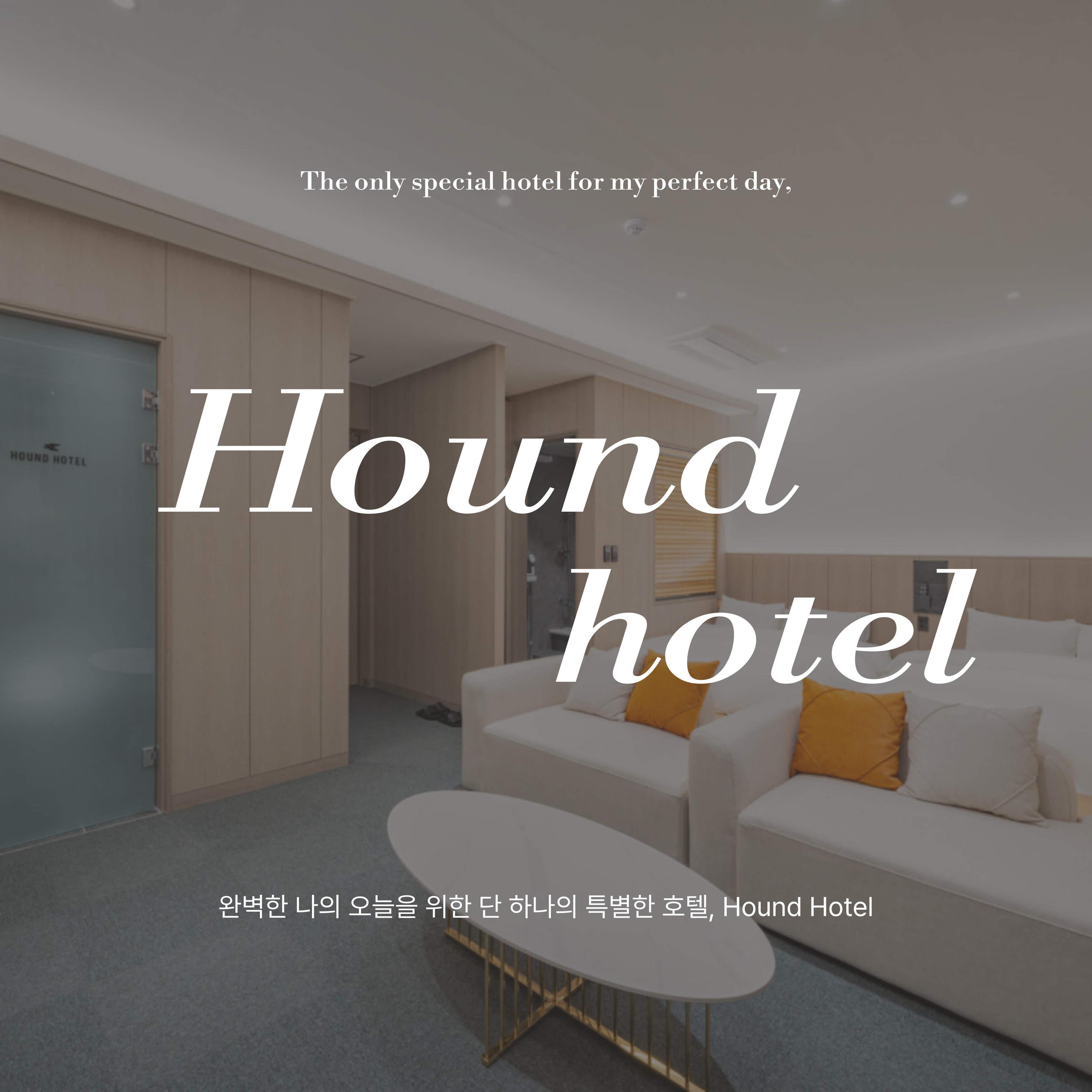 하운드호텔 대구대명점 12월 새소식 이미지 1